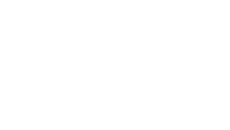 Condor Bird Logo